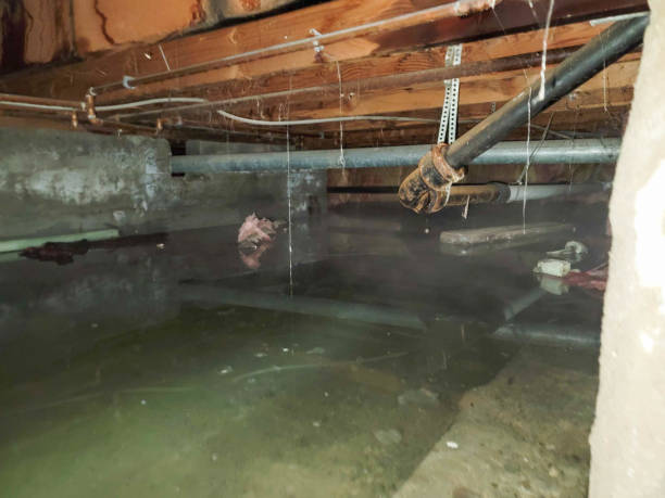 Carpet water damage restoration in Libby, MT