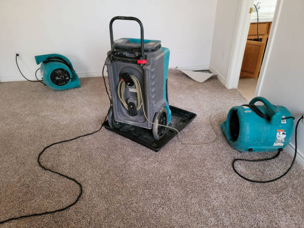  Libby, MT Water damage restoration Pros
