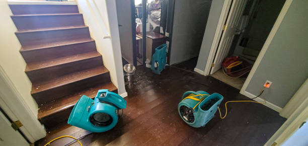 Best Carpet water damage restoration  in Libby, MT