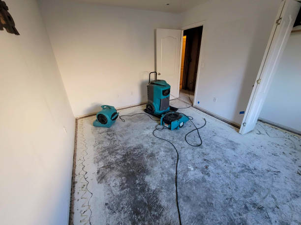 Best 24/7 water damage repair  in Libby, MT