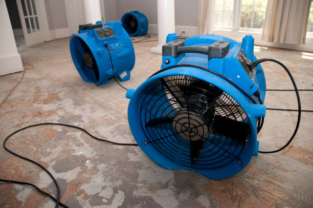 Best Local water damage restoration  in Libby, MT