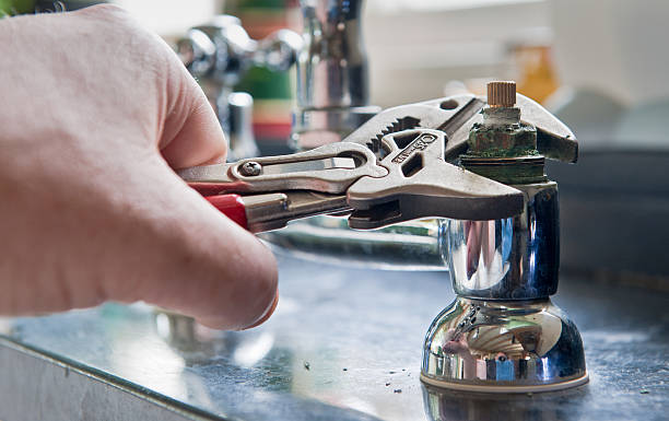 Best Professional water damage repair  in Libby, MT