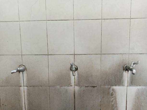 Best Commercial water damage restoration  in Libby, MT