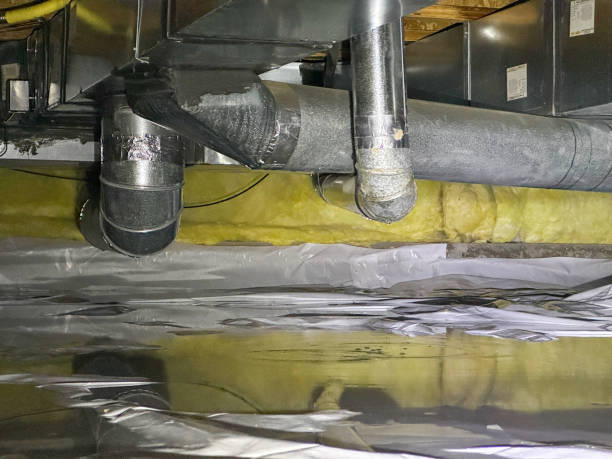 Best Basement water damage restoration  in Libby, MT