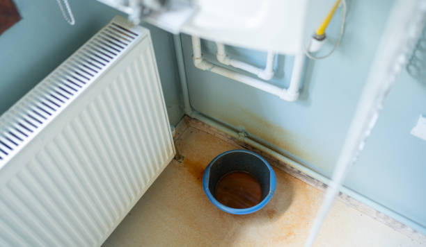 Best Water damage restoration near me  in Libby, MT